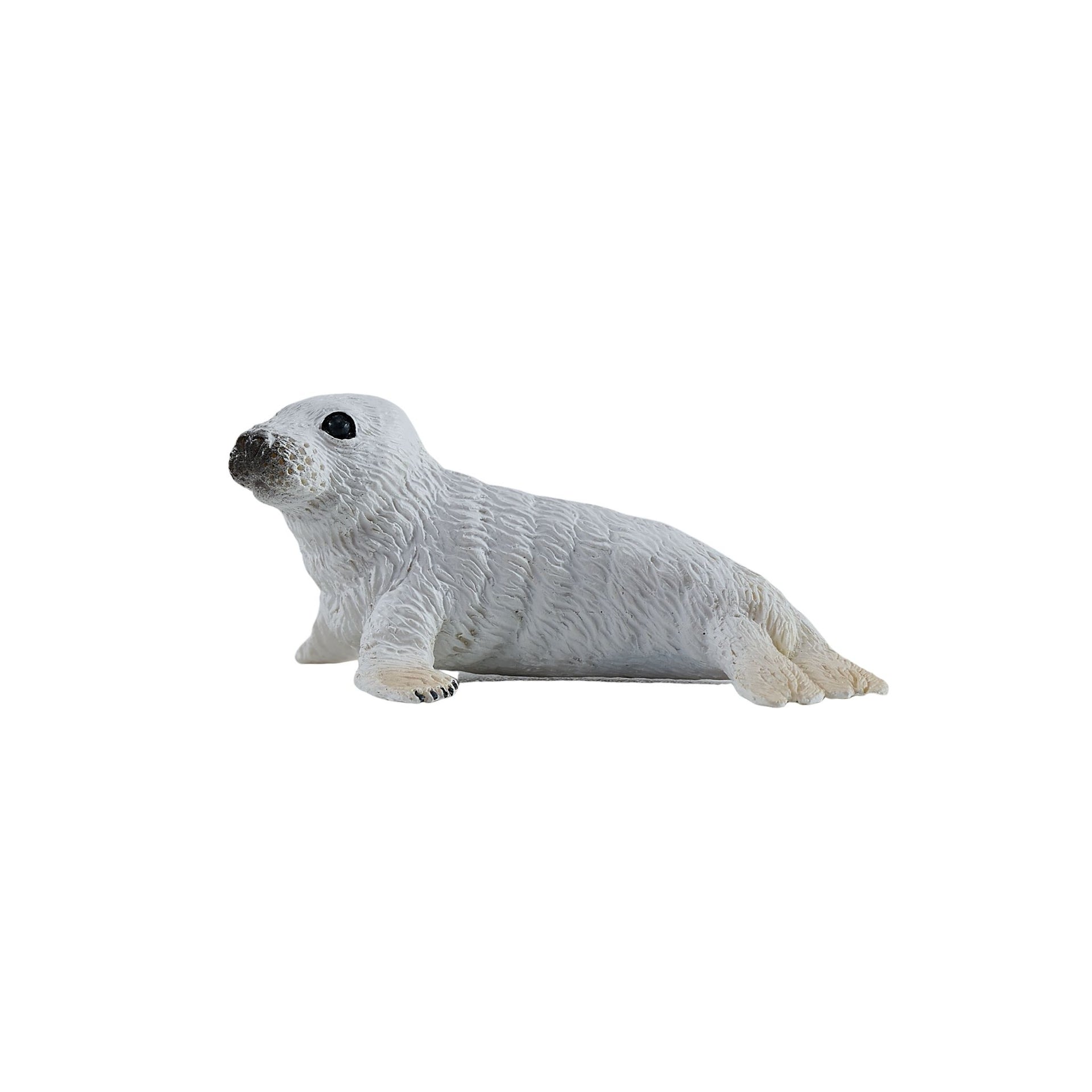 Mojo Grey Seal Pup