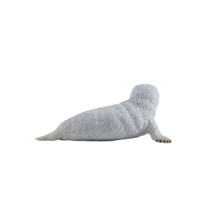 Mojo Grey Seal Pup