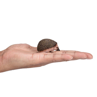 Mojo Hedgehog