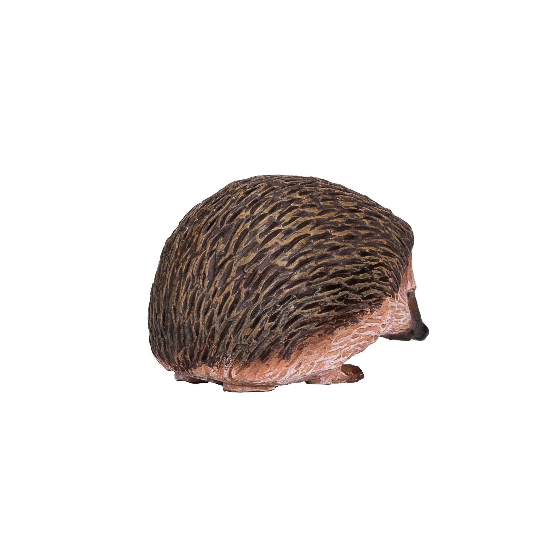 Mojo Hedgehog