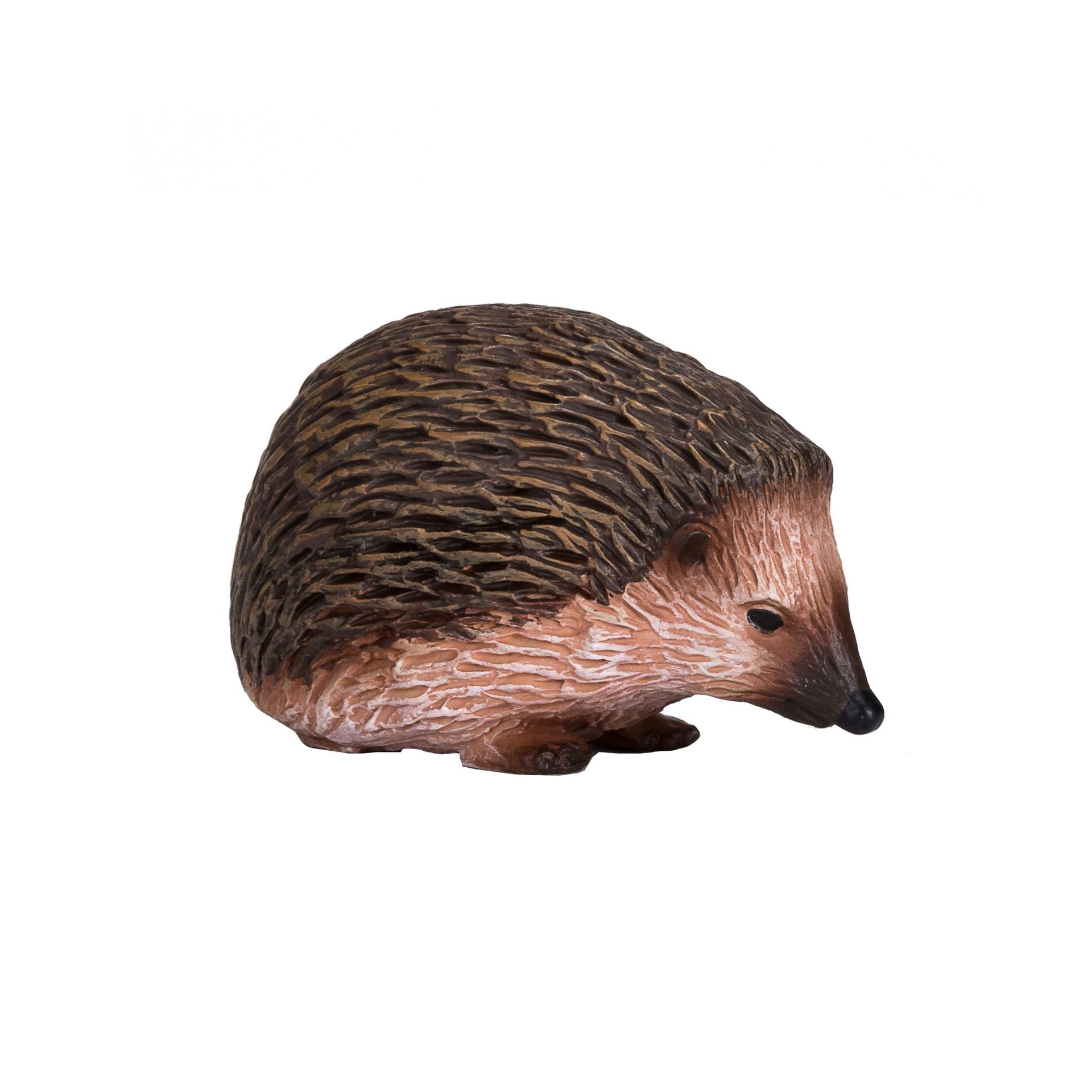 Mojo Hedgehog