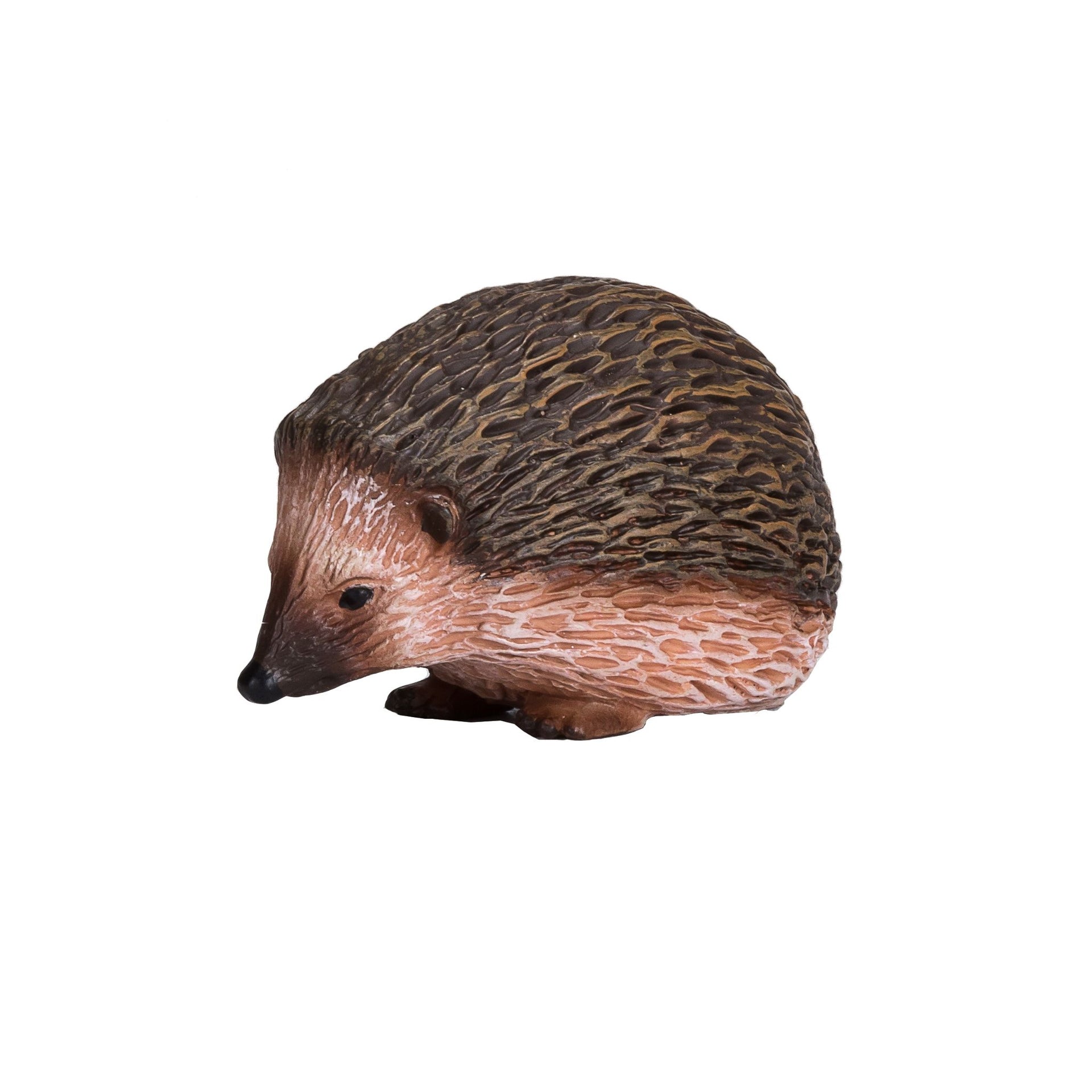 Mojo Hedgehog