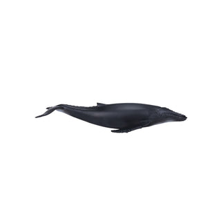 Mojo Humpback Whale