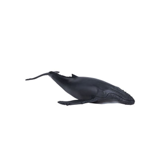 Mojo Humpback Whale