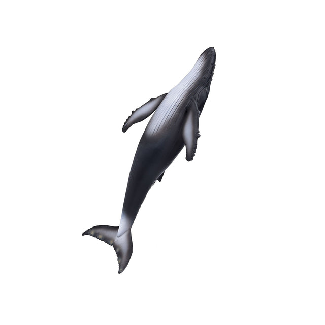 Mojo Humpback Whale