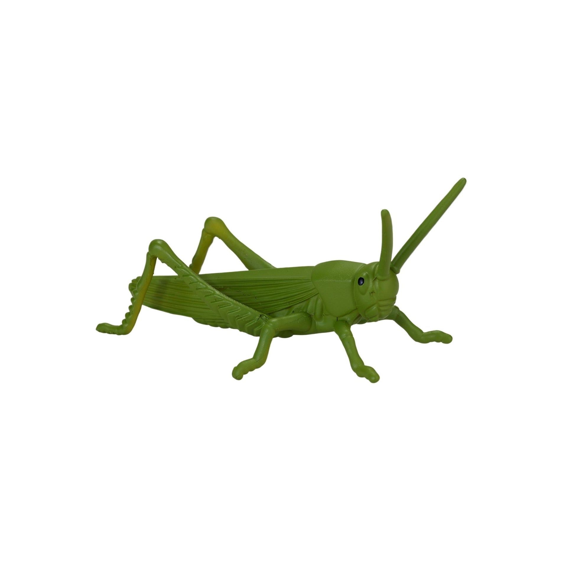 Mojo Insects and Spider Tube - 12 Piece