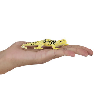 Mojo Leopard Gecko