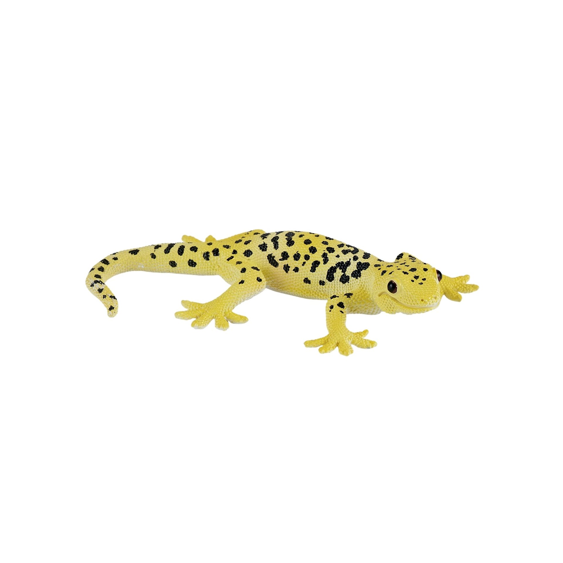 Mojo Leopard Gecko
