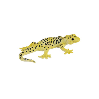 Mojo Leopard Gecko