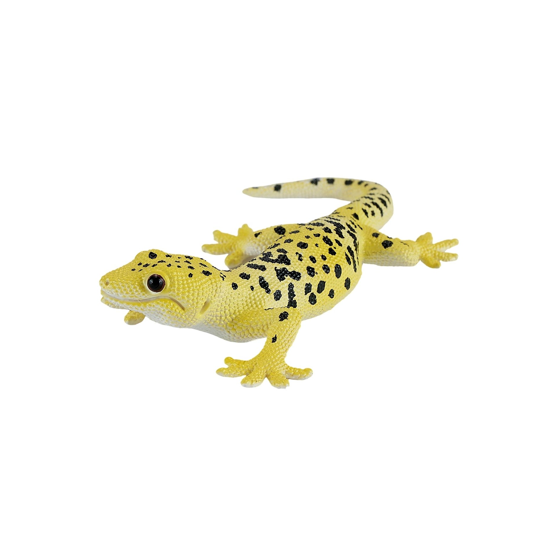 Mojo Leopard Gecko