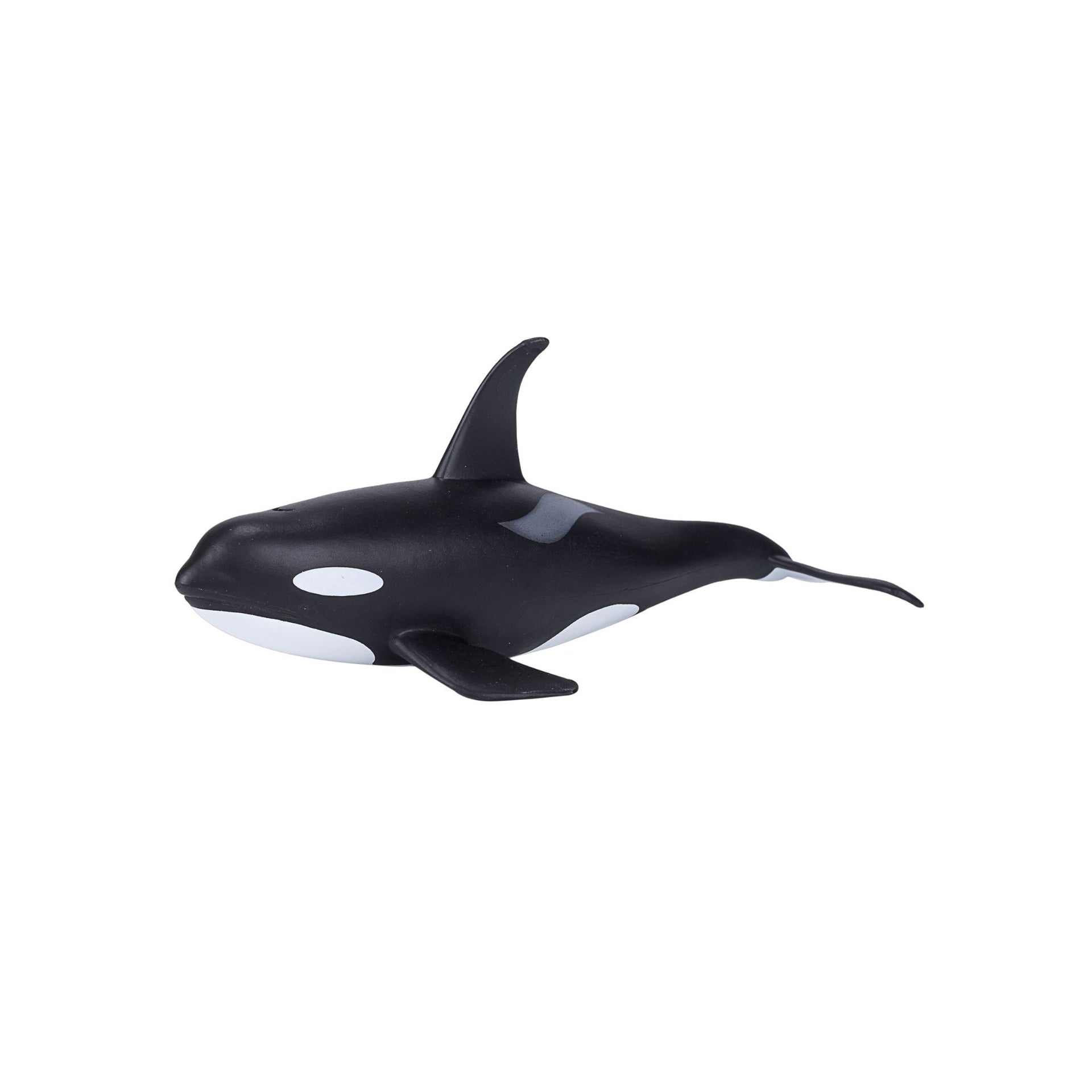 Mojo Male Orca