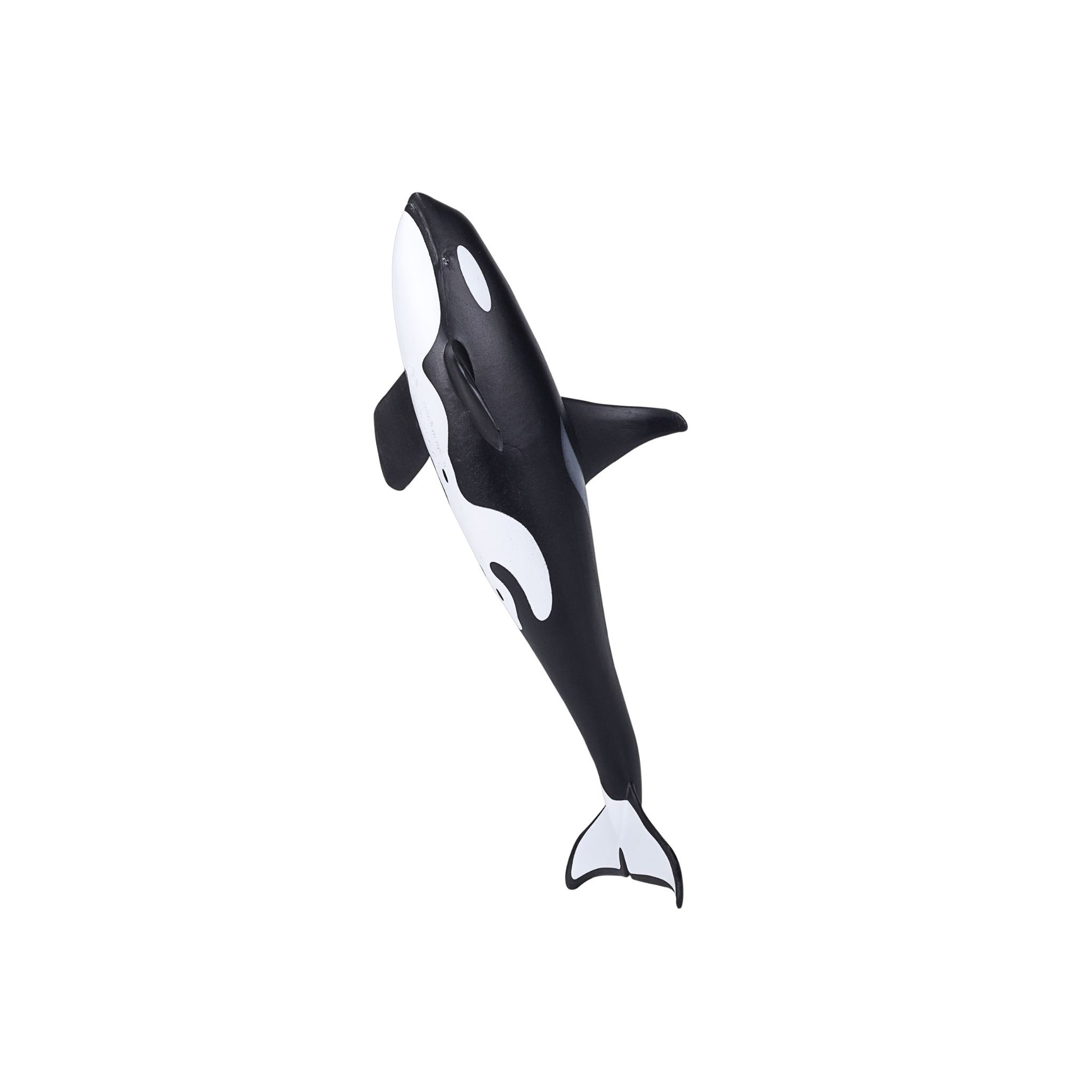 Mojo Male Orca