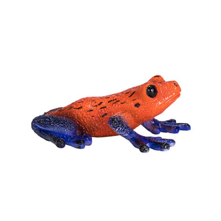 Mojo Poison Dart Tree Frog