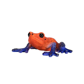 Mojo Poison Dart Tree Frog