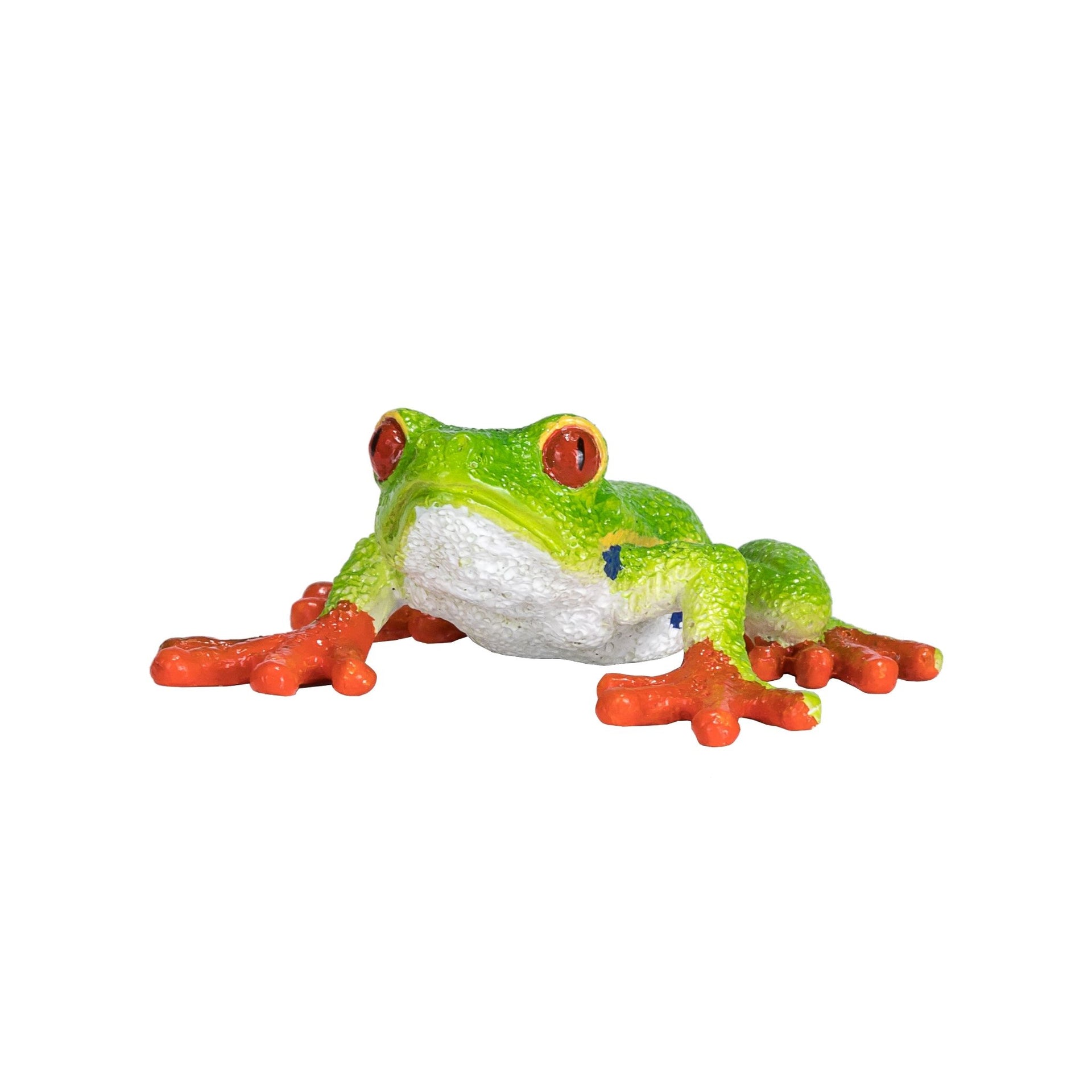 Mojo Red Eyed Tree Frog