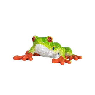 Mojo Red Eyed Tree Frog