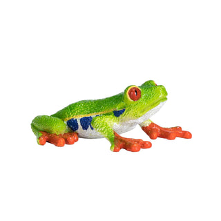 Mojo Red Eyed Tree Frog