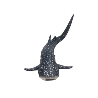 Mojo Whale Shark