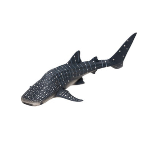 Mojo Whale Shark