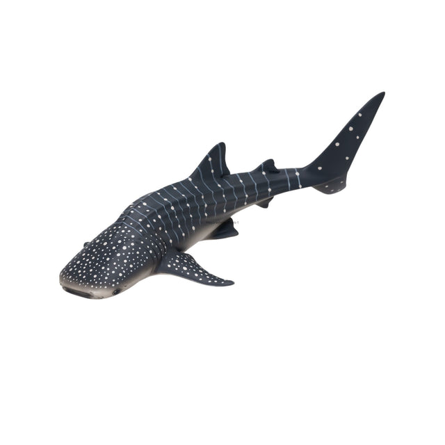Mojo Whale Shark
