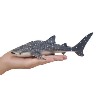 Mojo Whale Shark