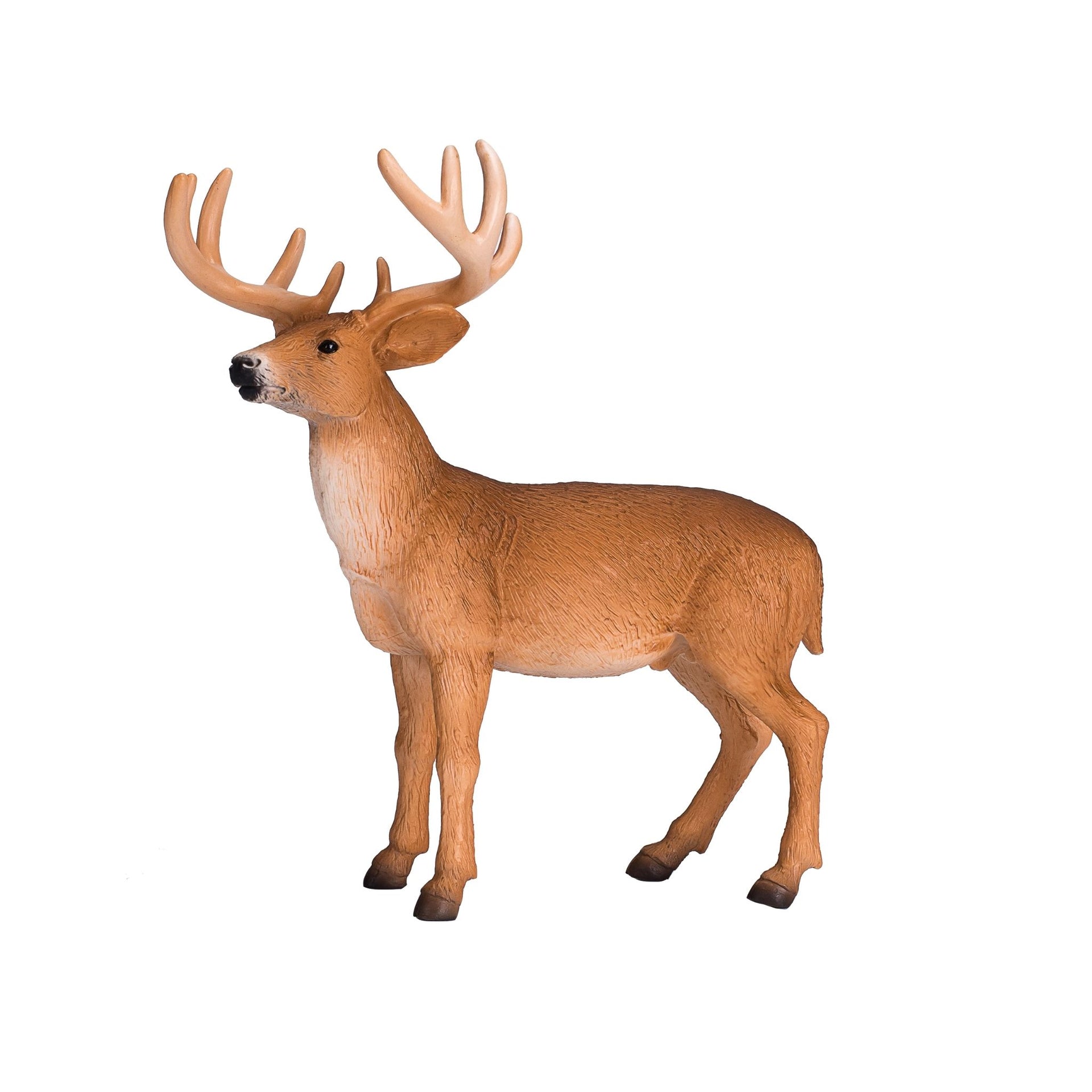 Mojo White Tailed Deer Buck