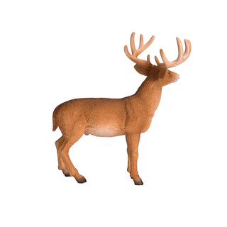 Mojo White Tailed Deer Buck