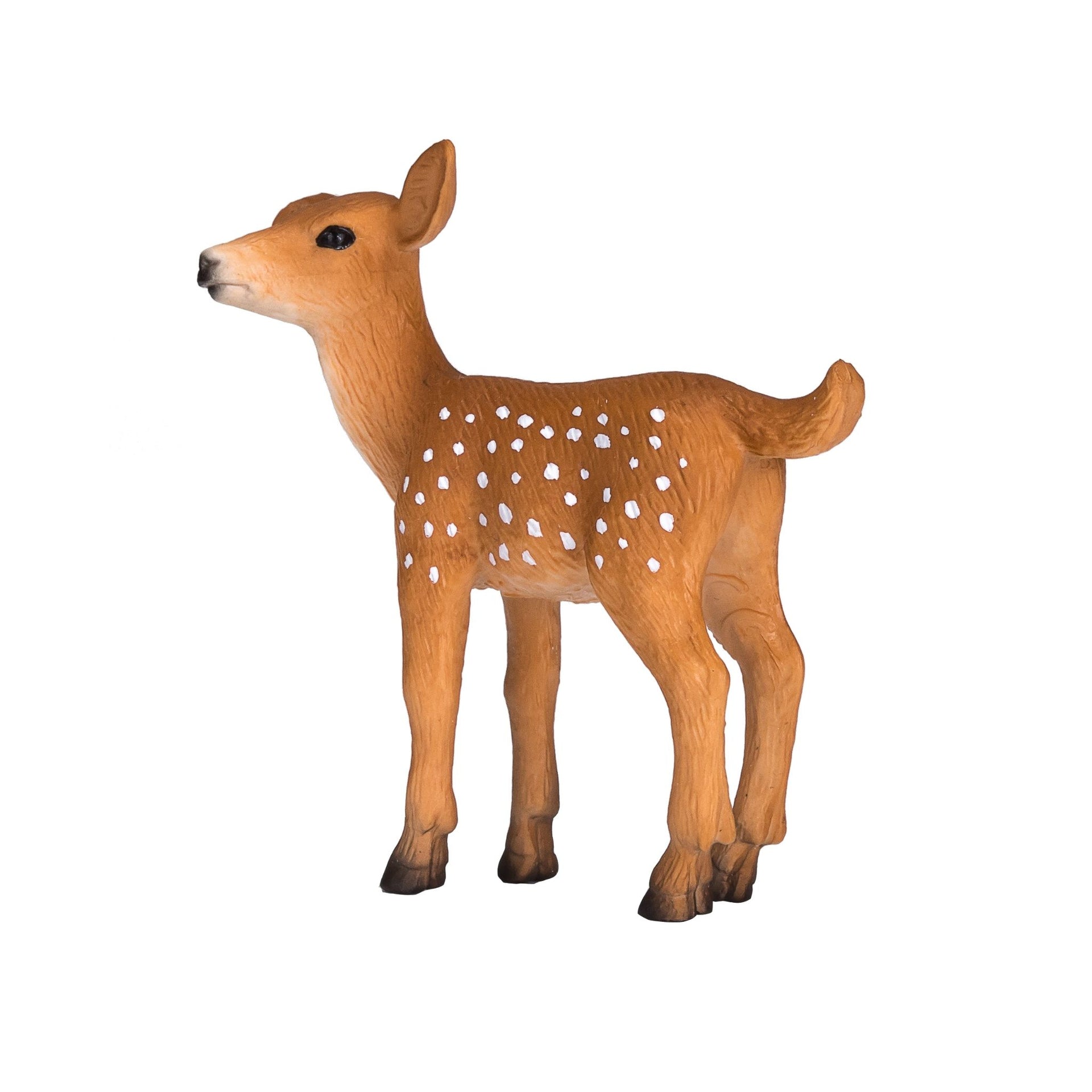 Mojo White Tailed Deer Fawn