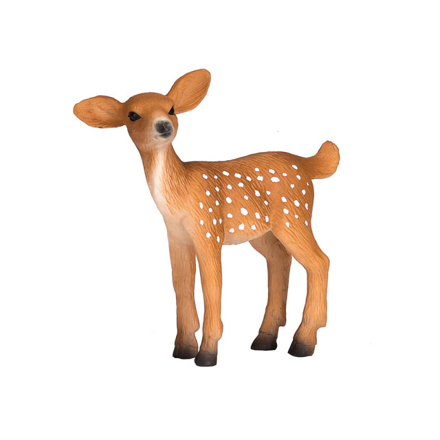 Mojo White Tailed Deer Fawn