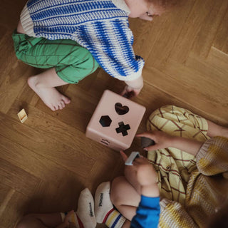 Mushie Shape Sorting Box - Petal