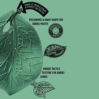 Oli & Carol Chlorophyll Leaf Teether