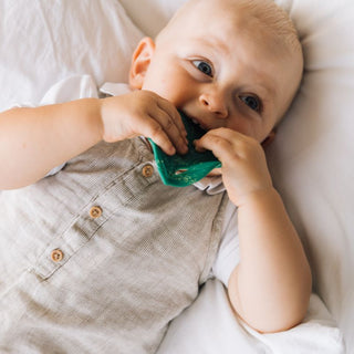 Oli & Carol Chlorophyll Leaf Teether