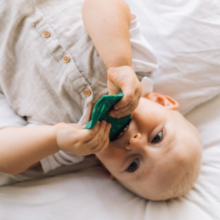 Oli & Carol Chlorophyll Leaf Teether