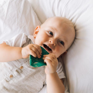 Oli & Carol Chlorophyll Leaf Teether