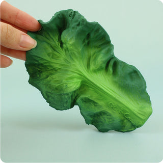 Oli & Carol Kendall The Kale