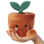 Aurora Palm Pals - Terra Potted Plant