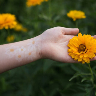 Namaki Face Painting Pencils Set Of 6 - Rainbow