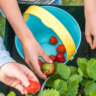 Quut Bucki Bucket - Blue