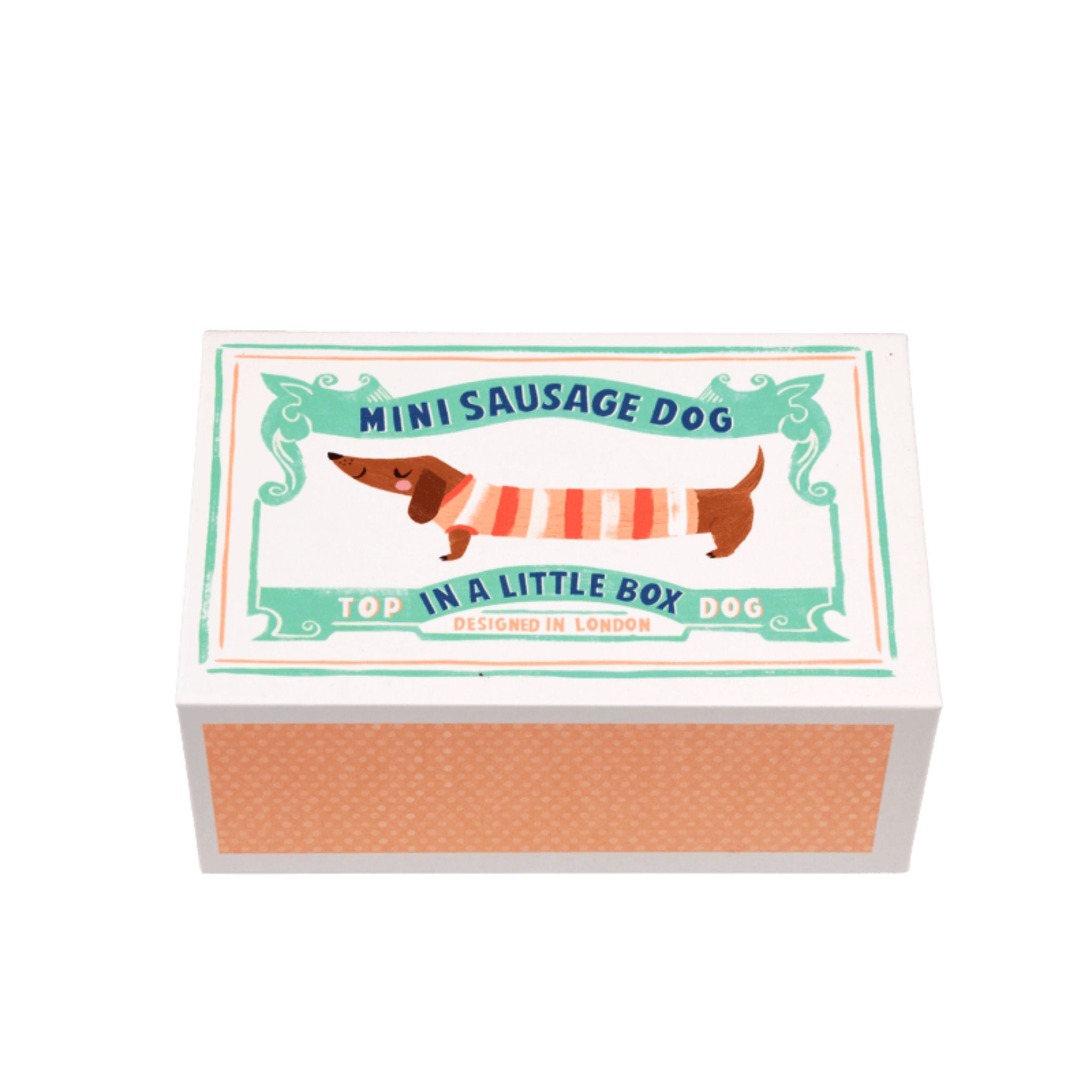 Sausage Dog In A Box | Rex London – The Kid Collective Ltd