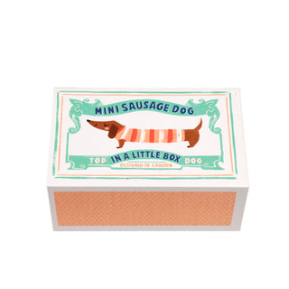 Rex London Mini Sausage Dog In A Box