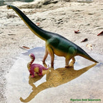 Safari Ltd Brachiosaurus