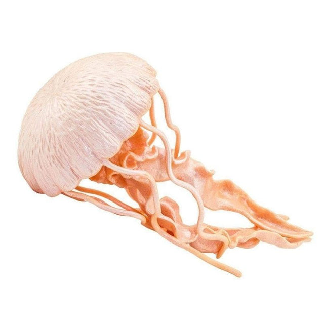 Safari Ltd Jellyfish
