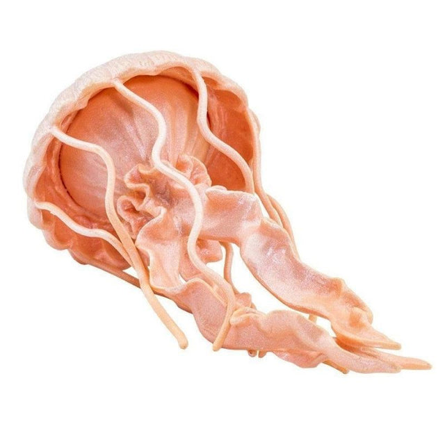 Safari Ltd Jellyfish