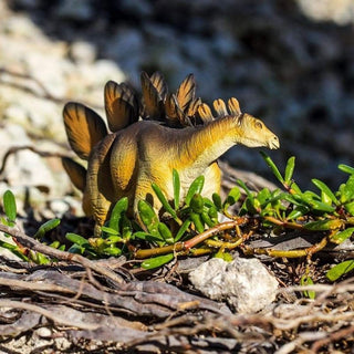 Safari Ltd Stegosaurus