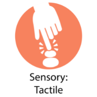 Sensory: Tactile Orange