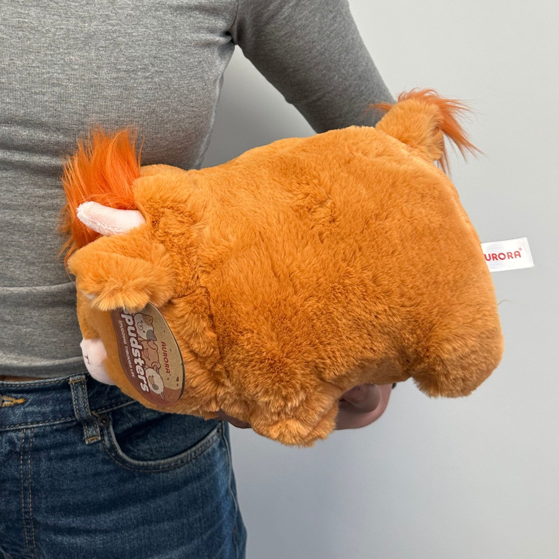 Aurora Spudsters Hamish Highland Cow