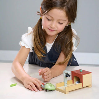 Tender Leaf Pet Tortoise Set