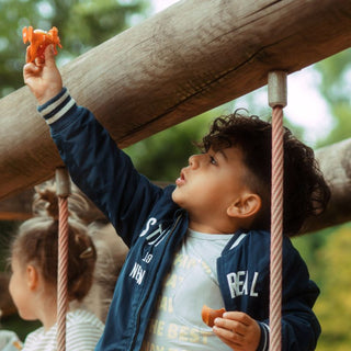 Tonies Julia Donaldson Zog