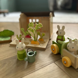 Tender Leaf Bunny's Carrot Patch