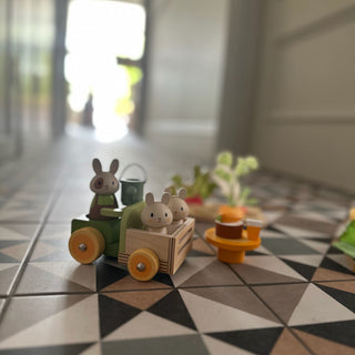 Tender Leaf Bunny's Carrot Patch